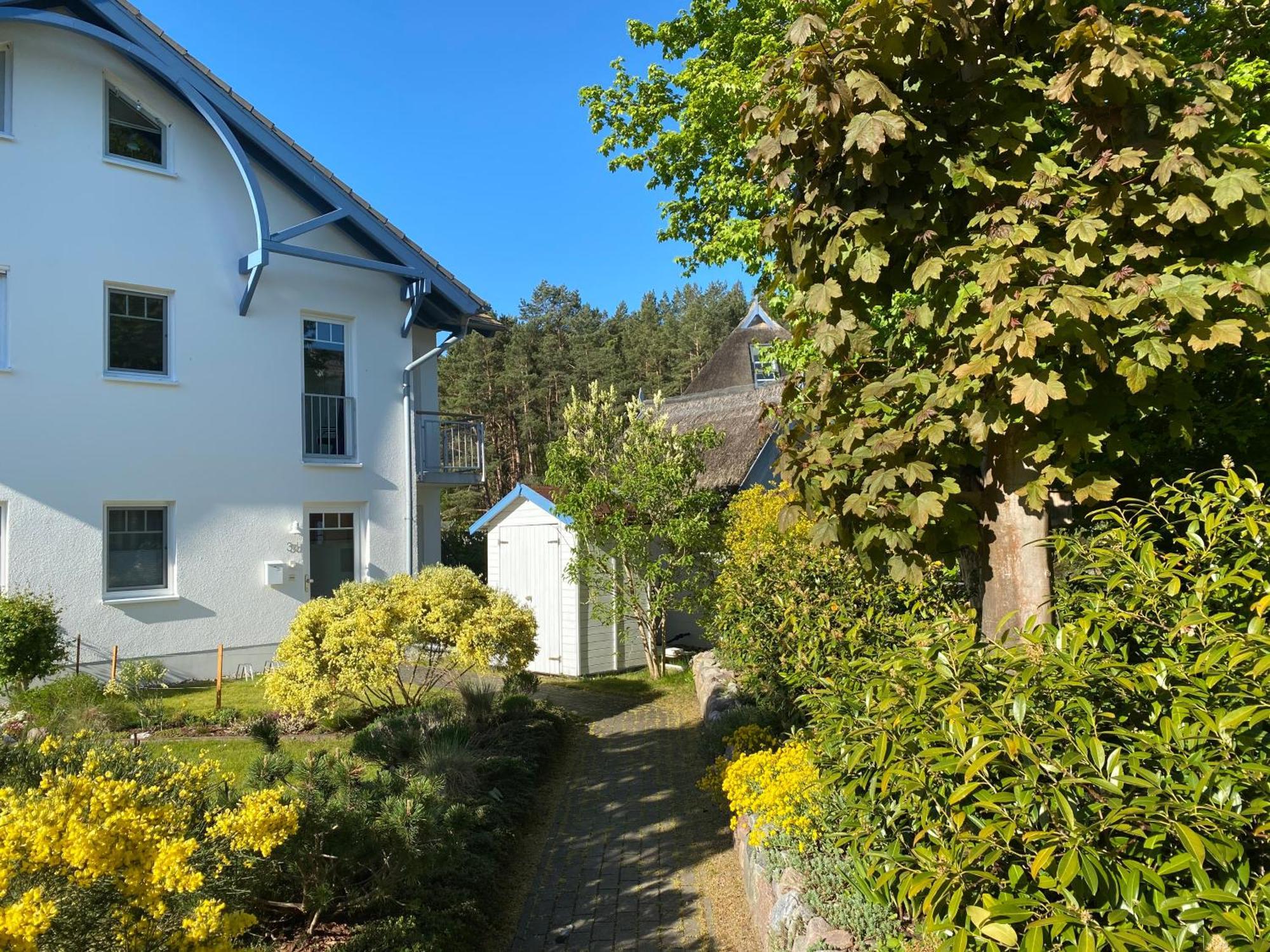 Duenenresidenz Karlshagen - Ferienwohnung Ginsterweg Εξωτερικό φωτογραφία